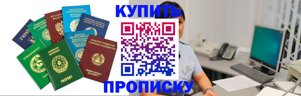 прописка в Бологом